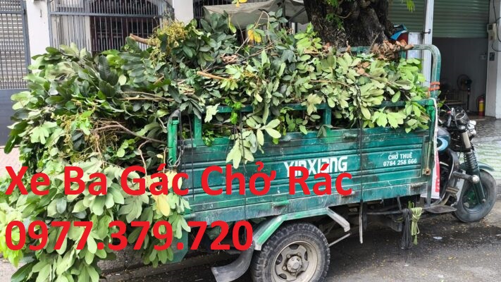 Xe Ba Gác Chở Rác Quận Tân Bình 