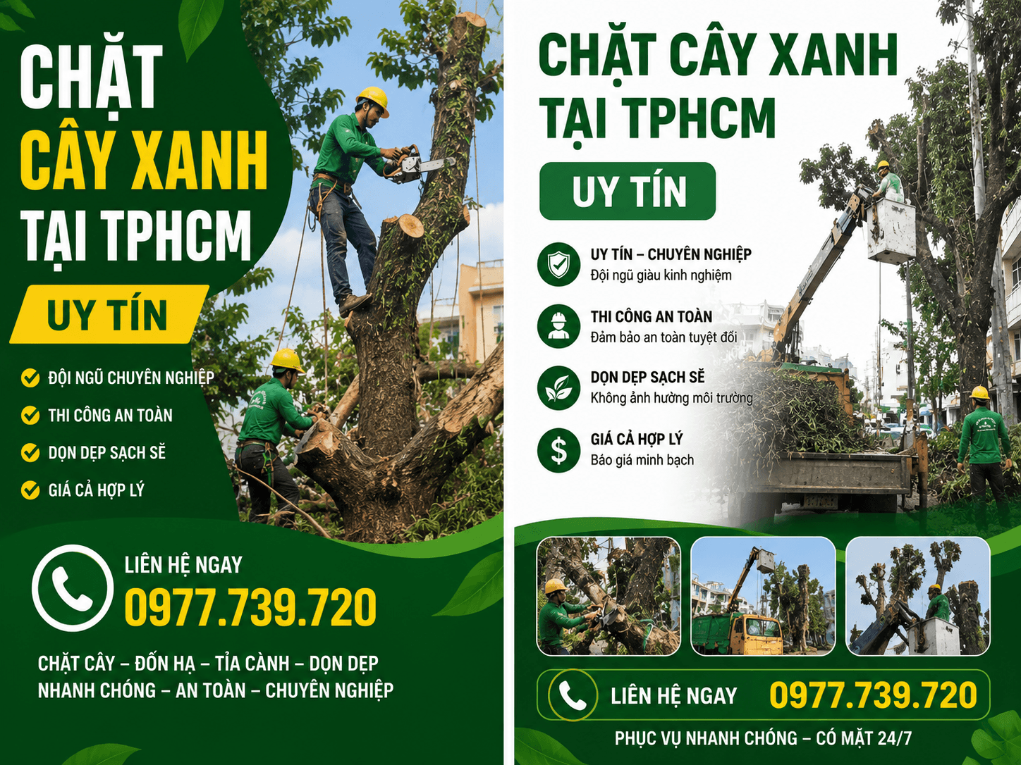Chặt Cây Xanh TPHCM Chuyên Nghiệp