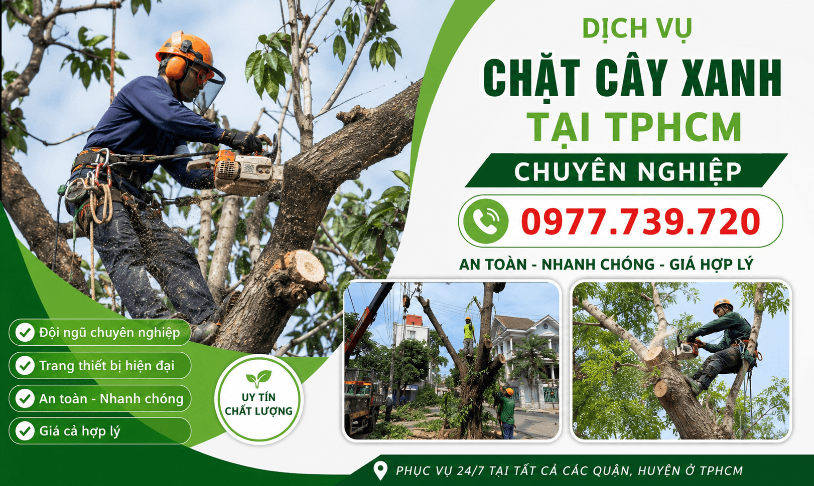 Chặt Cây Xanh TPHCM