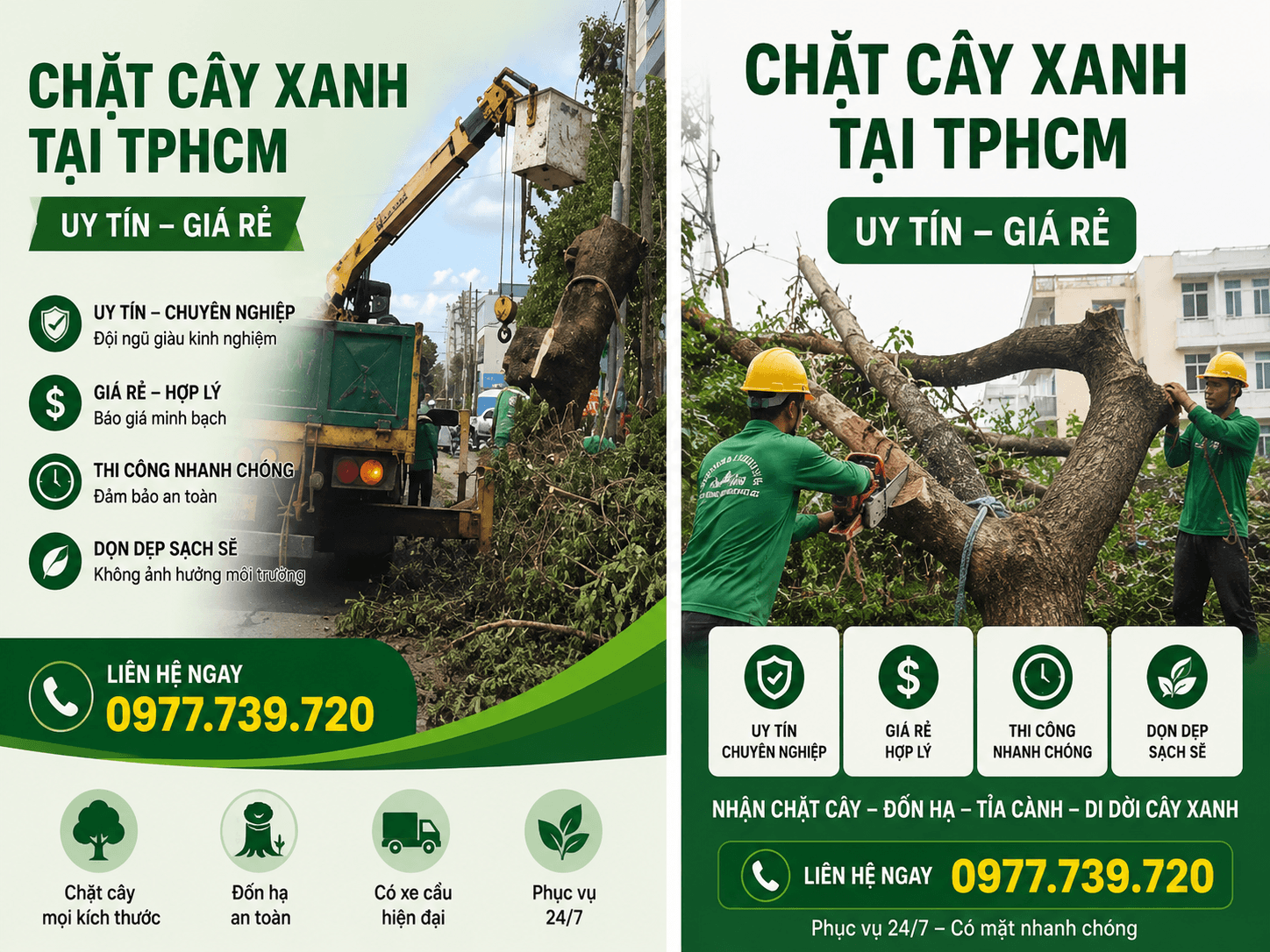 Chặt Cây Xanh Tại TPHCM